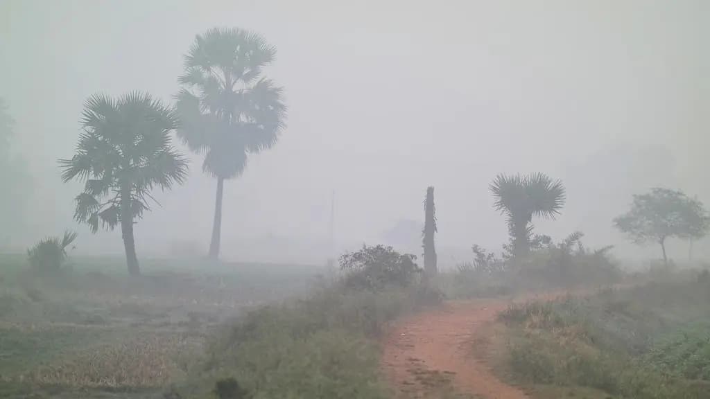 IMD Weather Update Temperature rises in South Bengal snowfall Forecast in several state in North Bengal gnr 