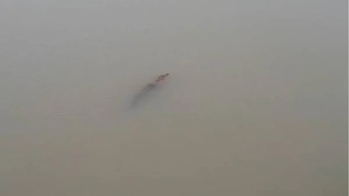 locals stop bathing in Ganga after Crocodile fear grips Konnagar after Bansberia