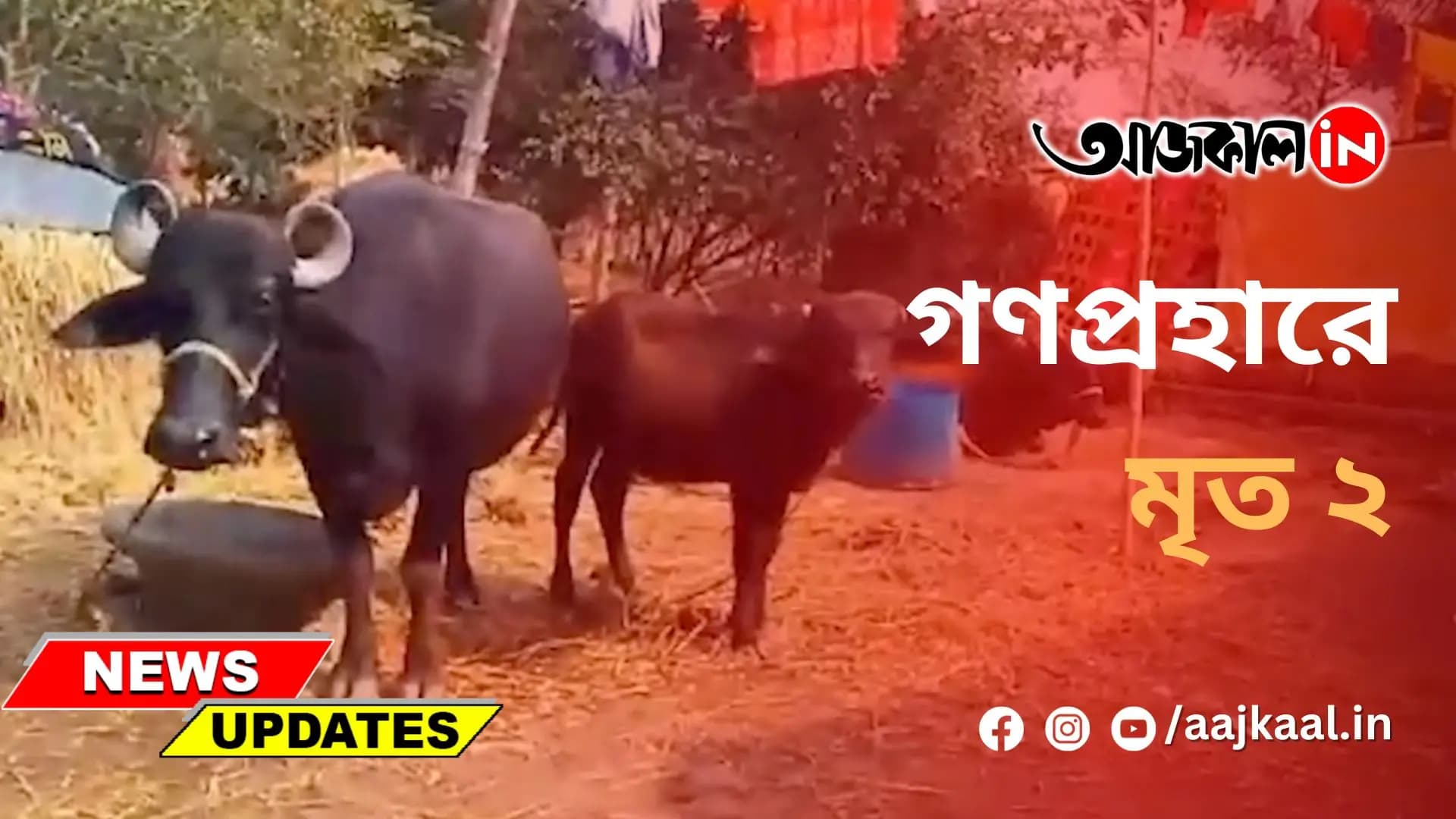 'গণপ্রহারে' মৃত ২