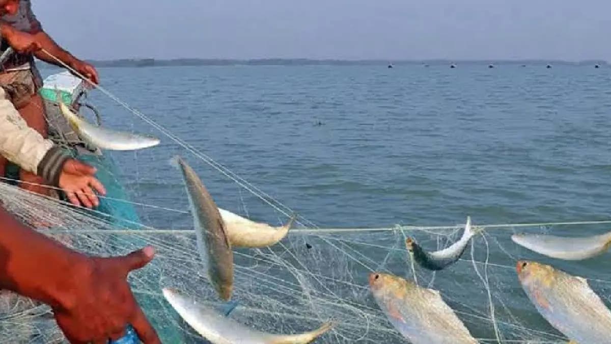 Nuclear Submarine gets trapped in fishing nets and sparks global alarm gnr