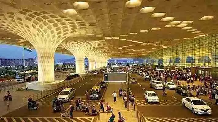 Man Found With 16 Different Snakes Hidden in Chocolate Box At Mumbai Airport