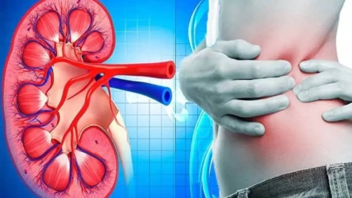 these signs suggest your kidneys may be failing details inside lif
