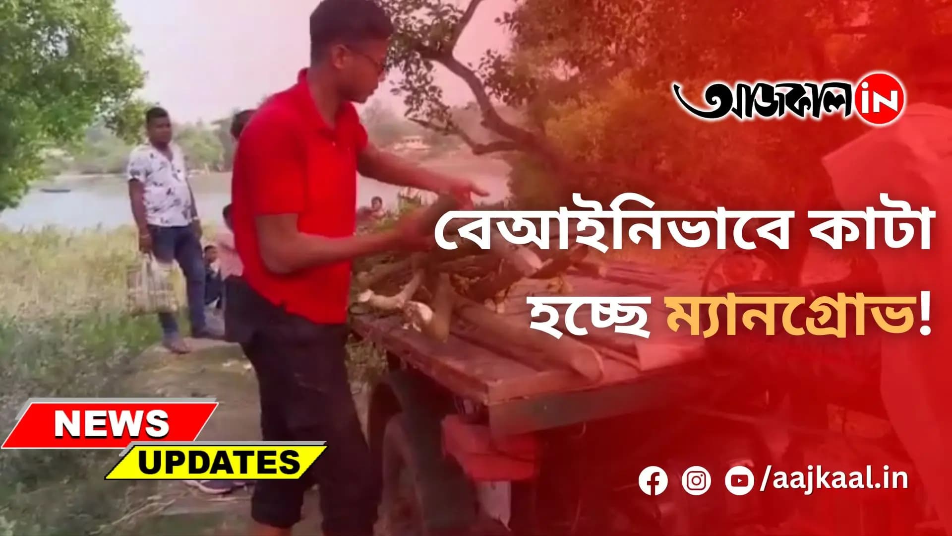 বেআইনিভাবে কাটা হচ্ছে ম্যানগ্রোভ!