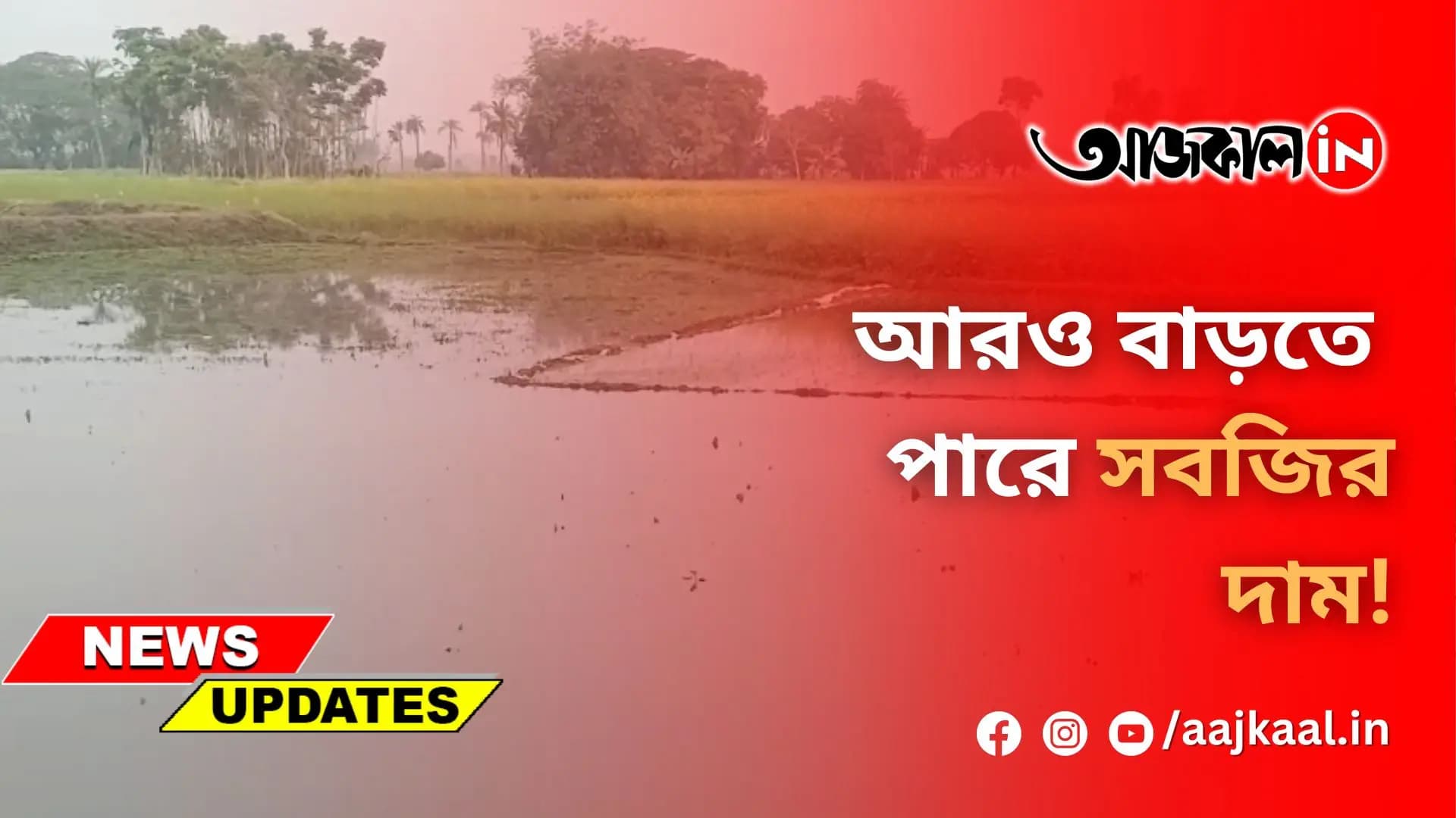  আরও বাড়তে পারে সবজির দাম!