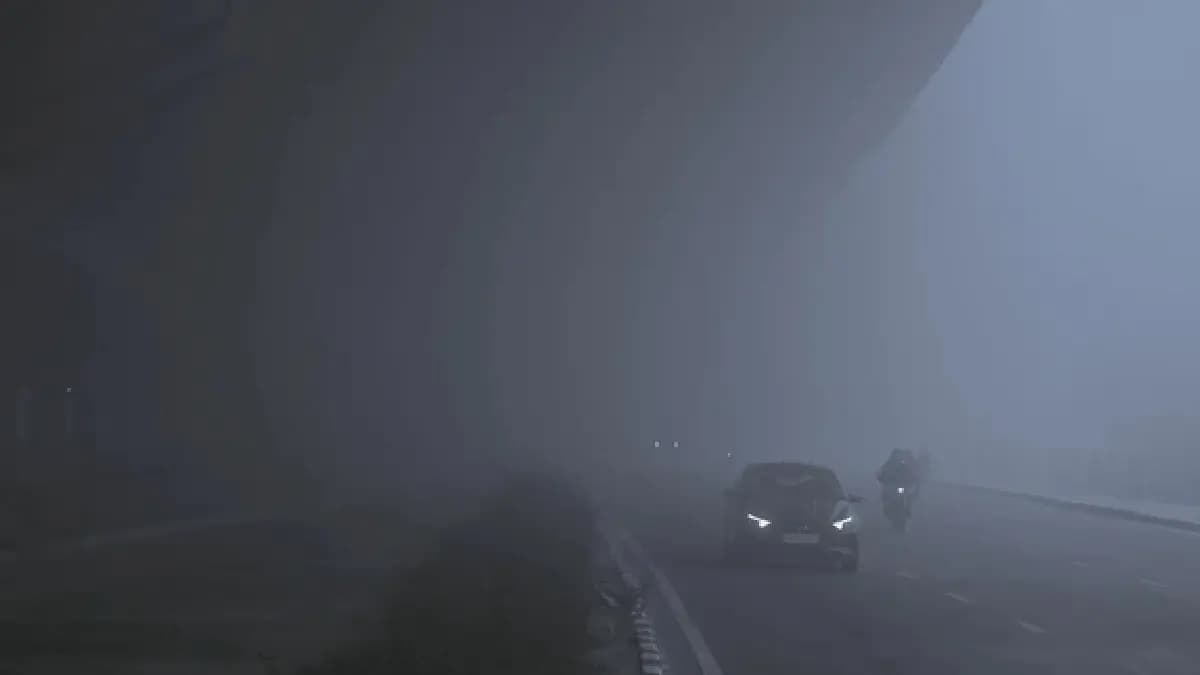 IMD weather update Cold Wave Grips North India gnr 