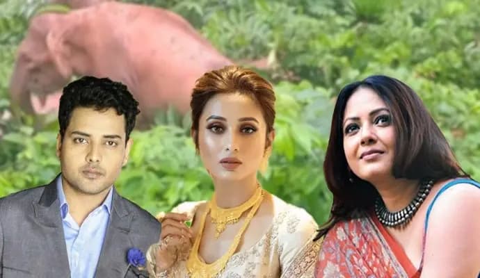 Tathagata Mukherjee Sreelekha mitra mimi chakraborty mourns elephant death case at jhargram share post on social media ENT