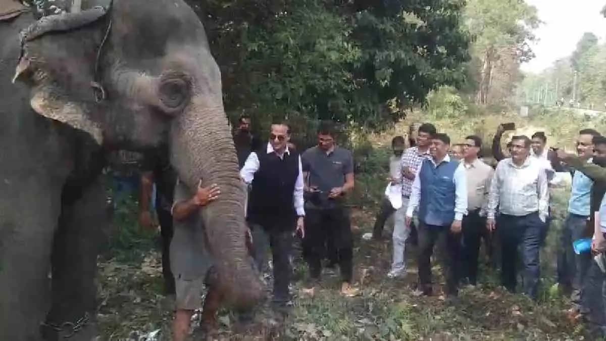 Forest Worker Died as elephant Jumps on him during trains whistle 