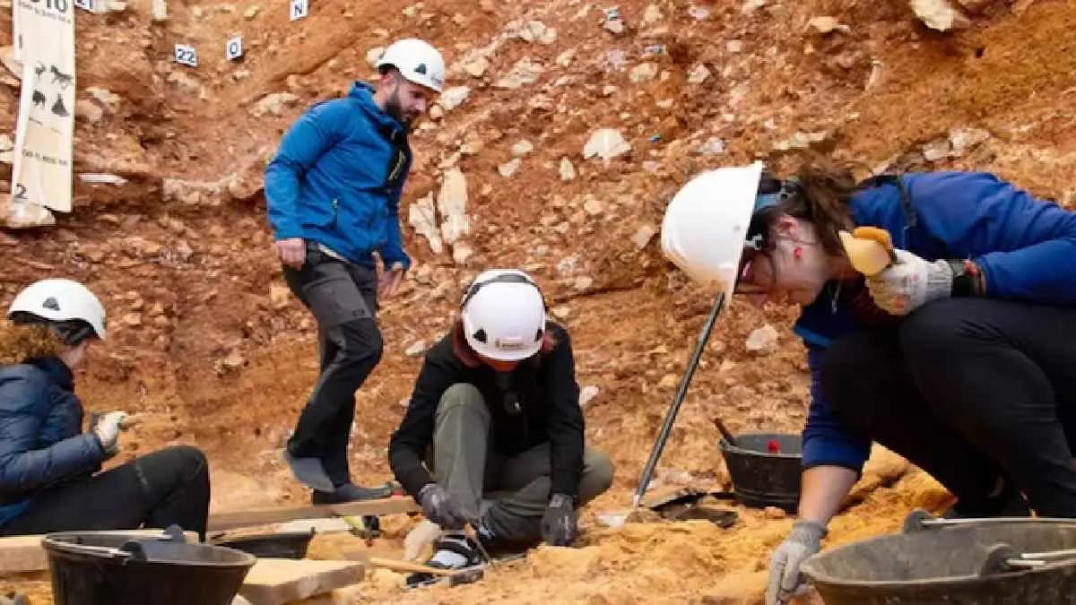 Ancient Humans Ate Children 850000 Years Ago New Discovery Reveals