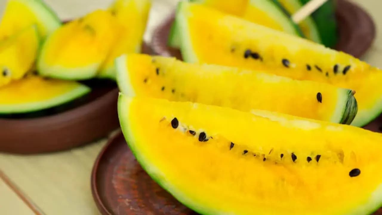 farmer became rich overnight by cultivating yellow watermelons, how was it possible?