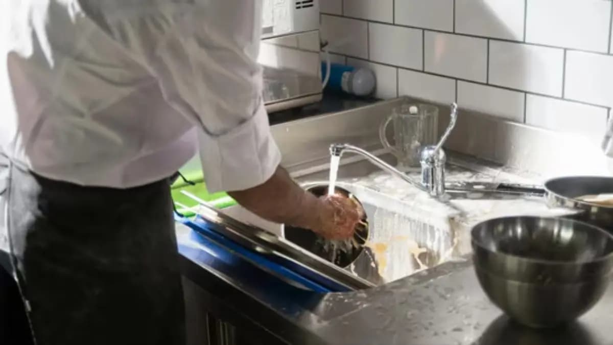 Indian-origin CEO sparks debate with viral post, haven't done dishes in 4 years gnr