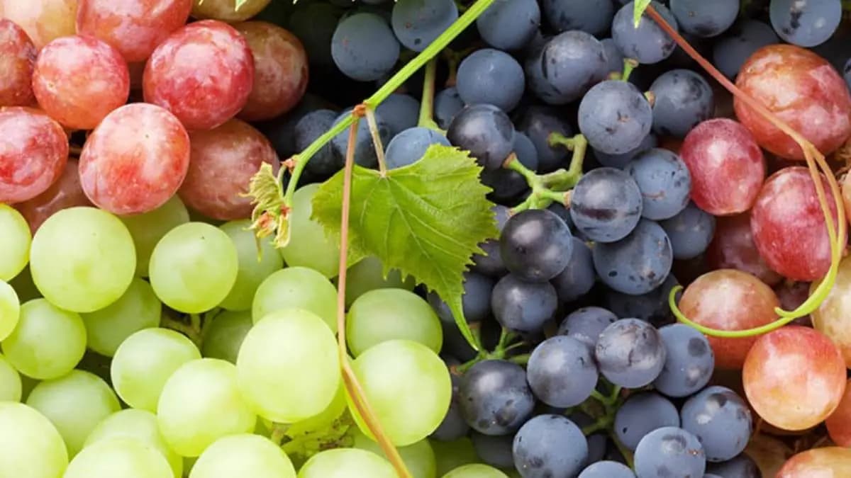 Red grapes are take care of your brain health and prevent alzimers disease and cancer also lif
