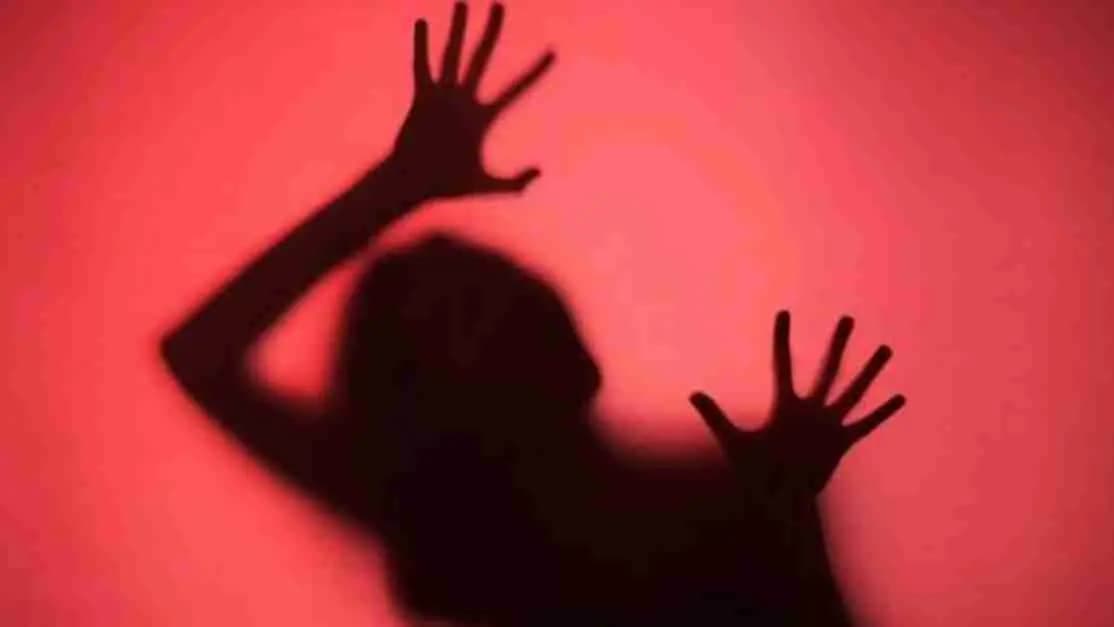 Delhi  Incident update son accused mother about extra-marital affair committed crime against woman