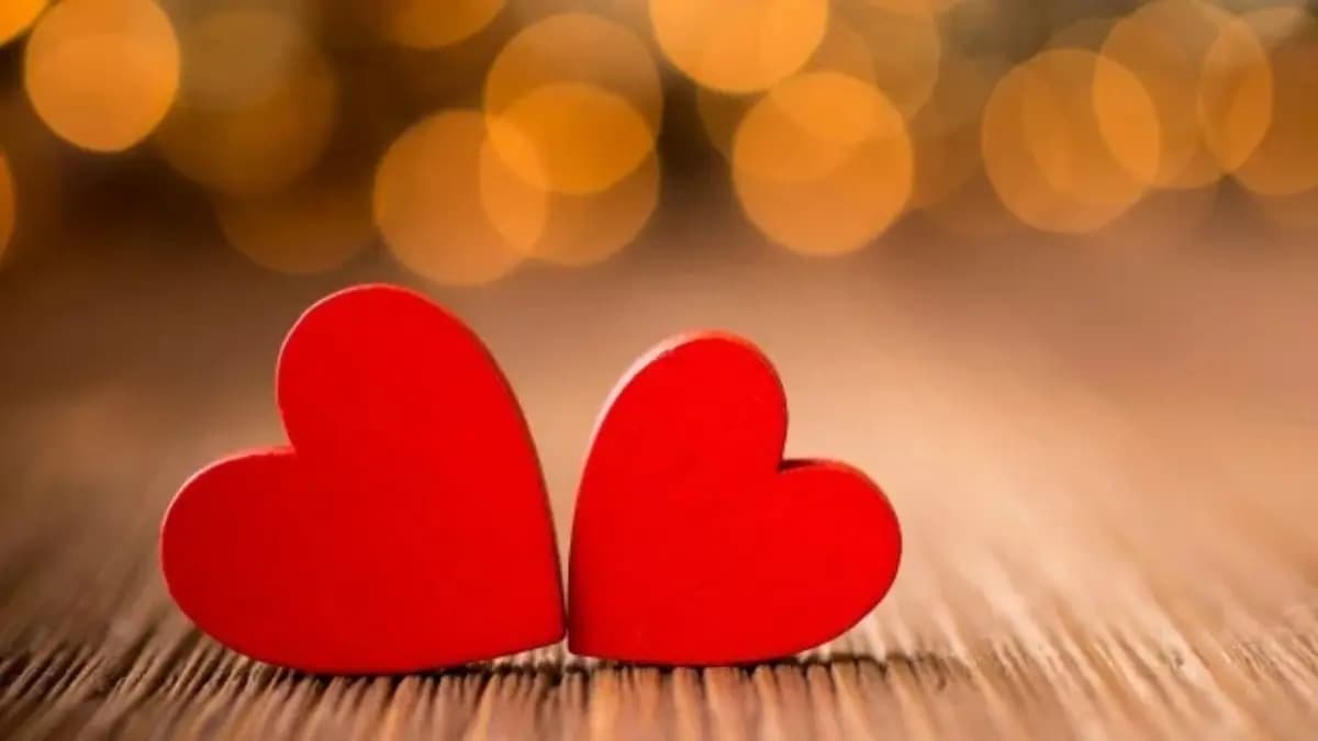 you can visit these cafes and restaurants in Kolkata on valentines day 2025 lif