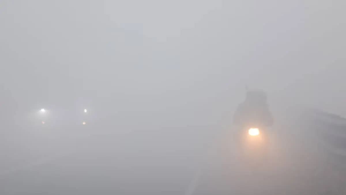 Delhi Wakes Up To Dense Fog Amid Sharp Drop In Temperature gnr