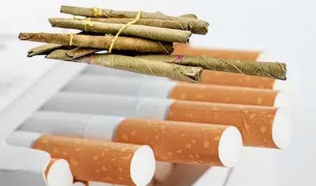 Smoking may cause lungs and mouth cancer can damage your heart and liver also lif