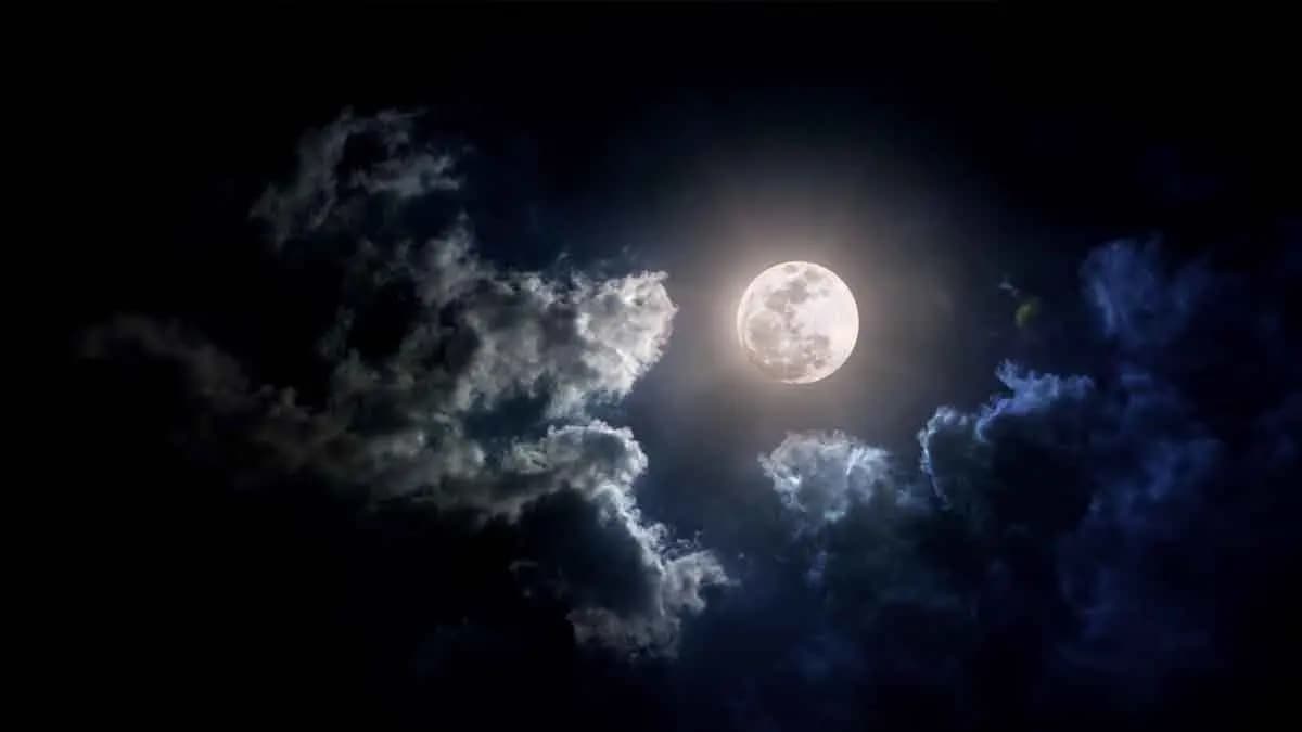 On this auspicious day of Sharod purnima, you may fullfil your manifested dream and make yourself happy and healthy lif