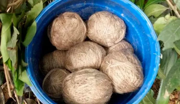 bombs found at bhangar