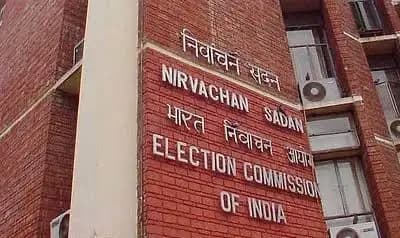 ec appoints special observer