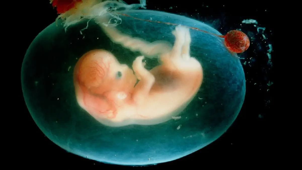 Woman gives birth to a child from 30 year old embryo