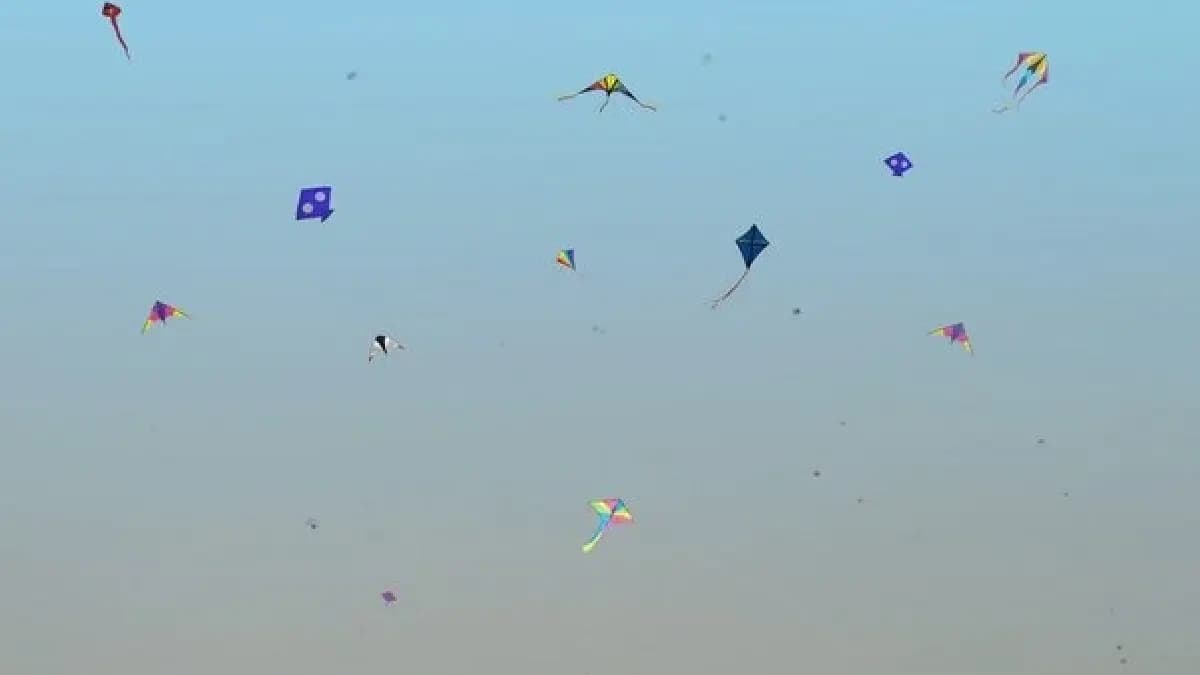 Makar Sankranti Banned nylon manja worth Rs 18 lakh destroyed gnr