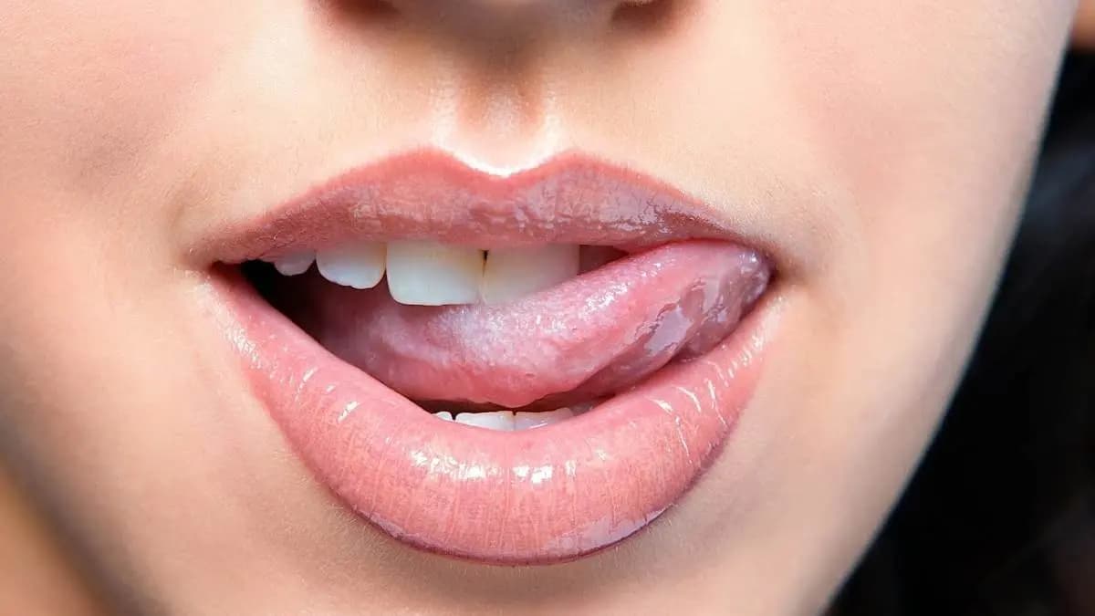Mother in law tongue and other plants you should keep in your bedroom