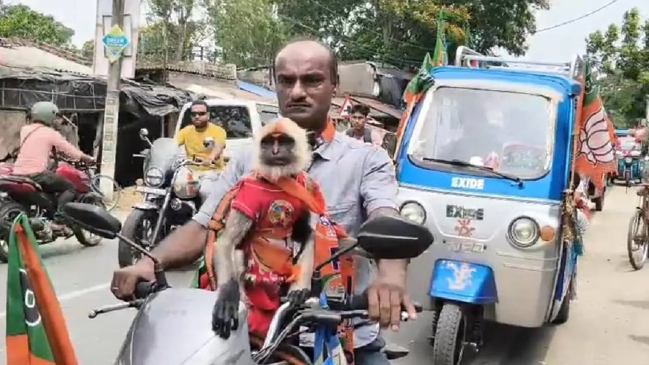 Bengal Election 2026: An unusual scene unfolds in Kulpi during the final stretch of the election campaign 