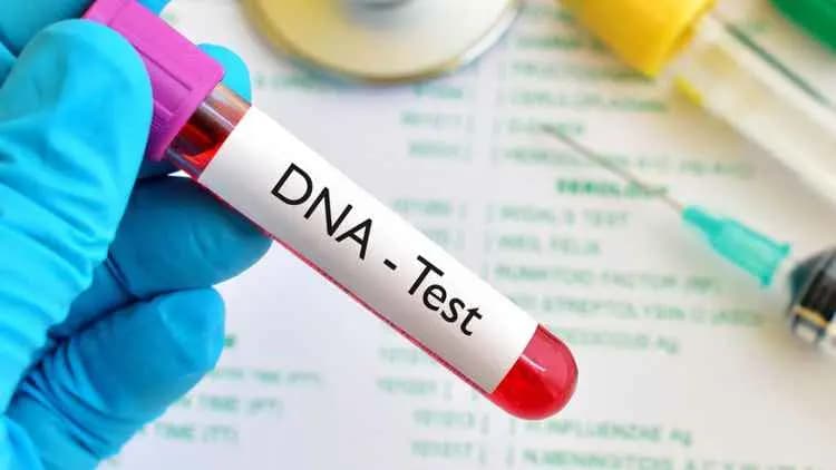 Vietnamese Father Discovers Daughter Was Swapped At Birth Through DNA Test gnr 