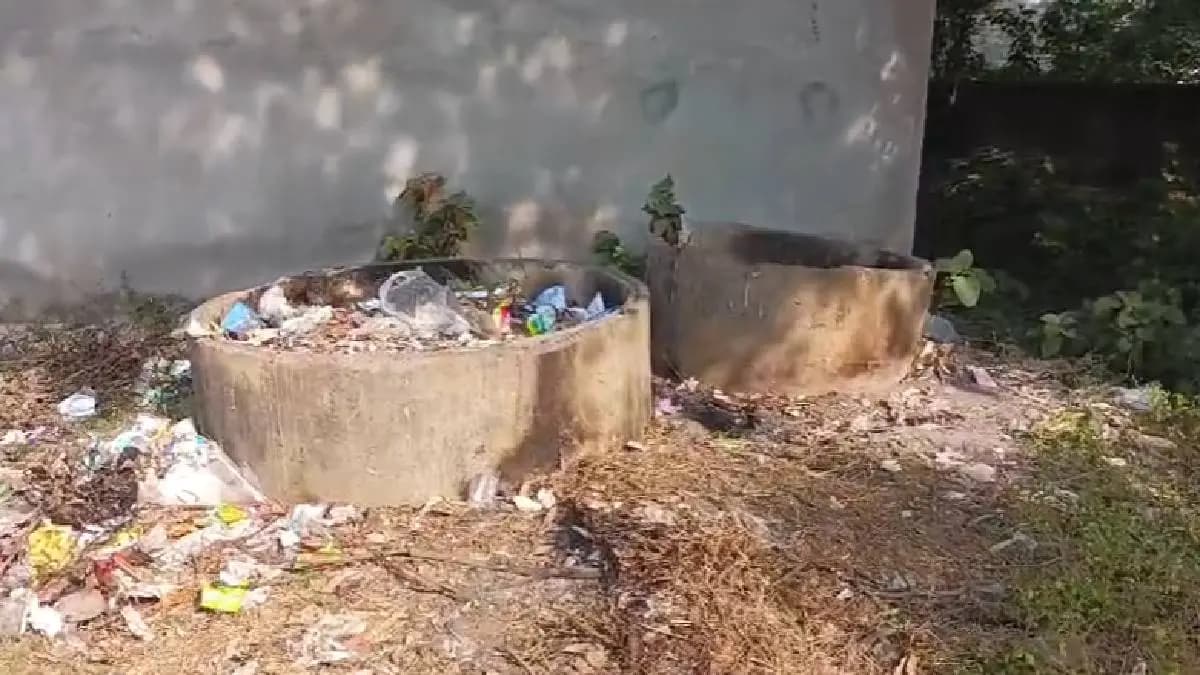 Miscreants set fire on six puppies