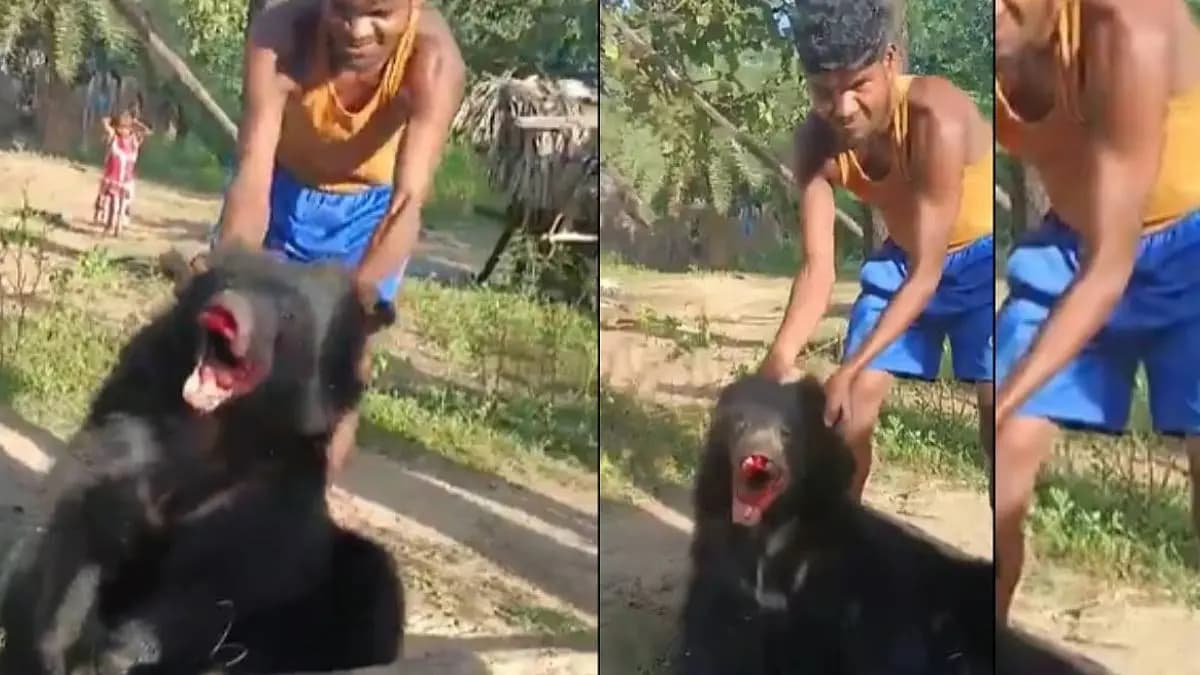 Cruelty on bear at Sukma 