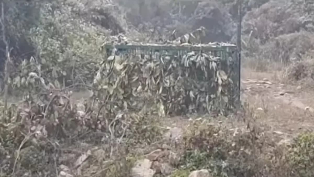 Fear of tiger in Purulia's Banduan area gnr