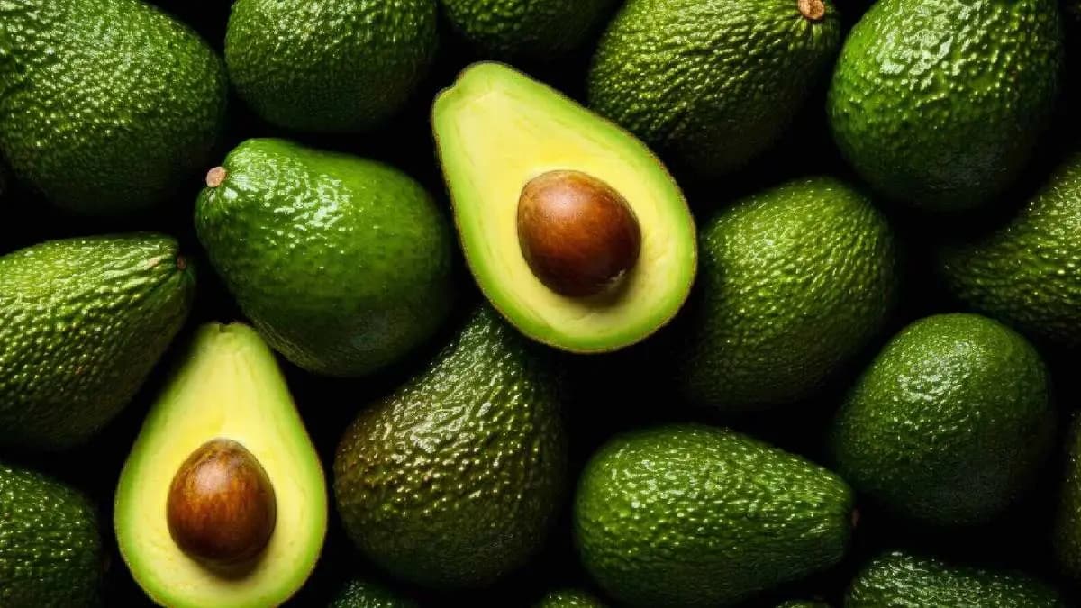 Health benefits of avocado