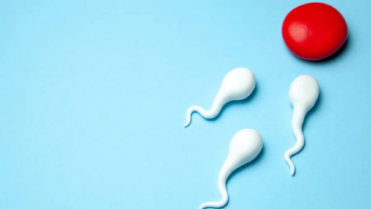 Three daily practices can boost increasing seed density in men