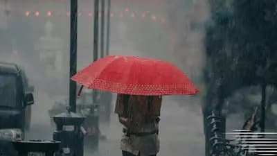 Gujarat Weather IMD Issues Red Alert Heavy Showers