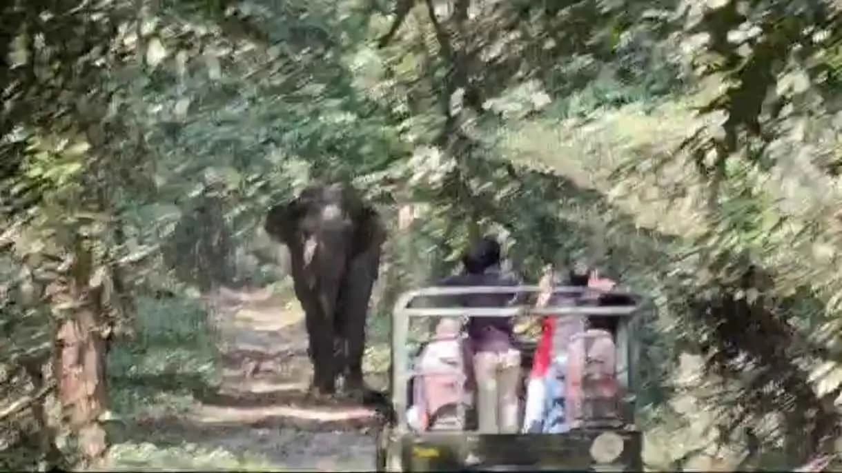 Singer Manomay Bhattacharya narrowly Escape Elephant Attack On Buxa Tiger Reserve