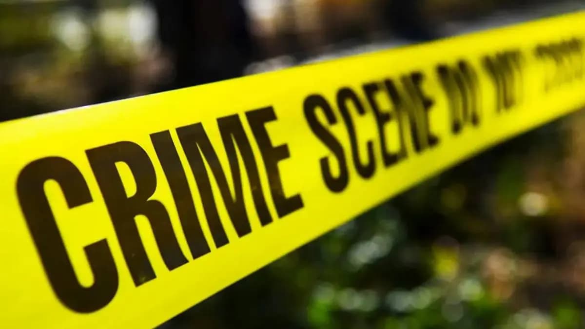 Andhra man tries to rape his aunts, mother kills him