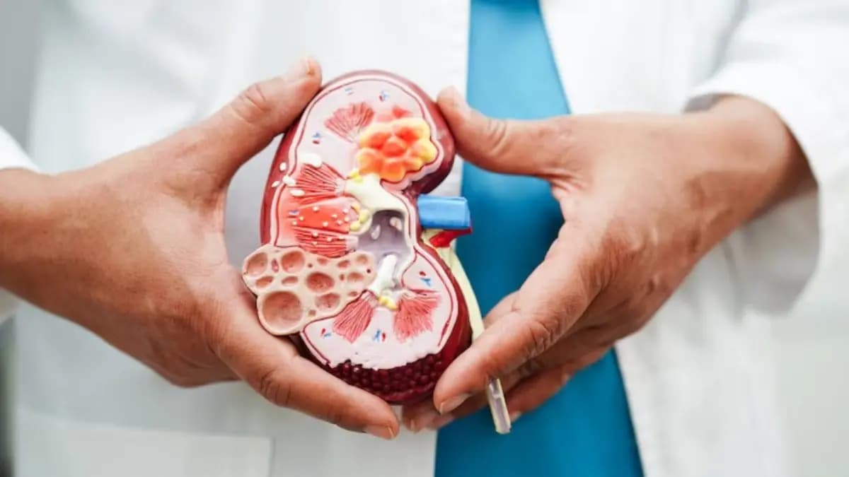 These Foods can silently damage your kidneys 