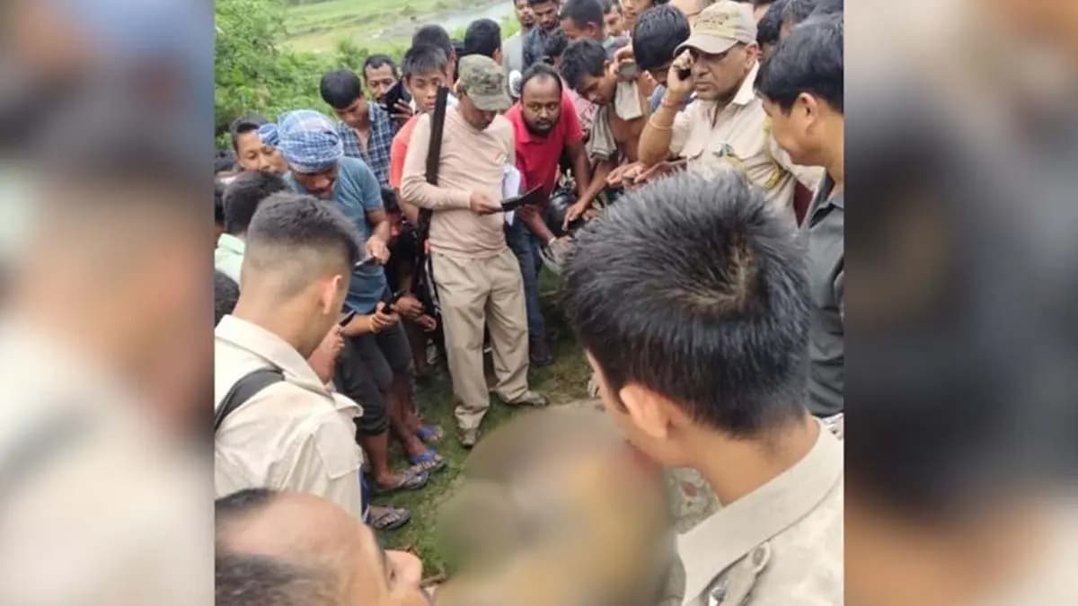 Armed mob kills royal bengal tiger in Assam Golaghat skin teeth removed