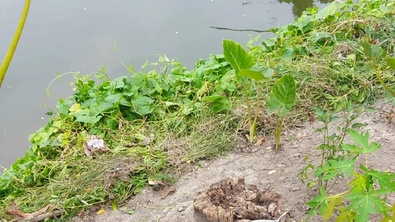 Bengal Elections 2026: Illegal Weapons Found Beside Polling Station in Jagatdal 