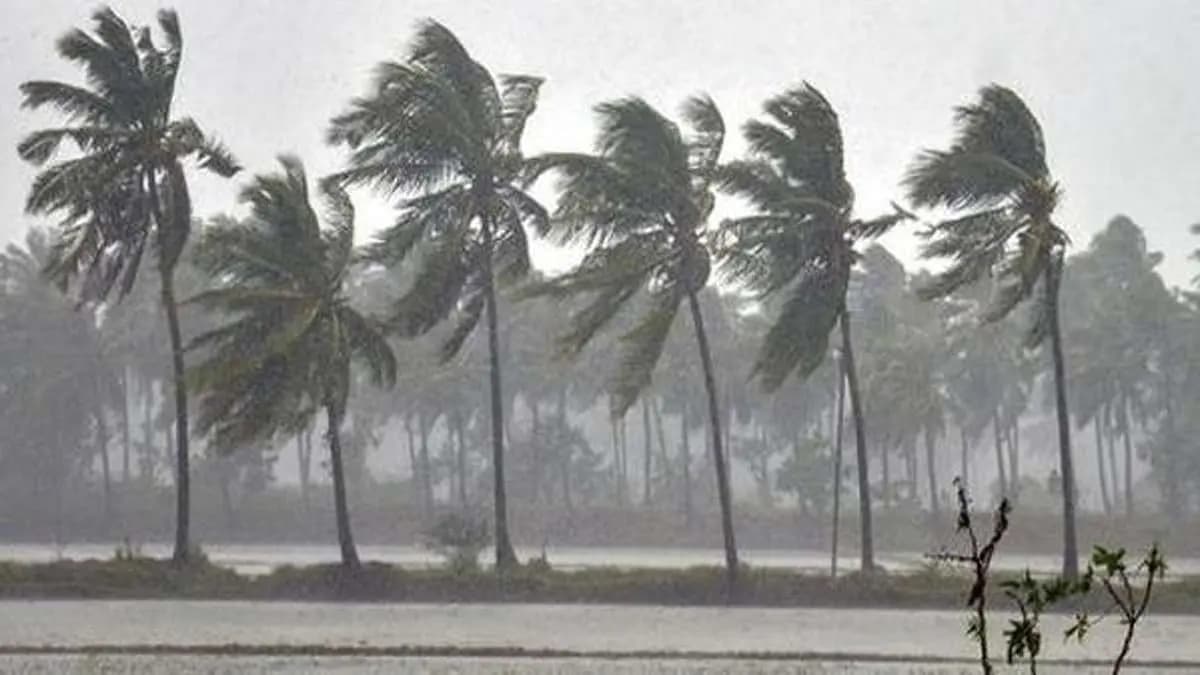 IMD Weather Update light to moderate rainfall gusty wind warning in districts