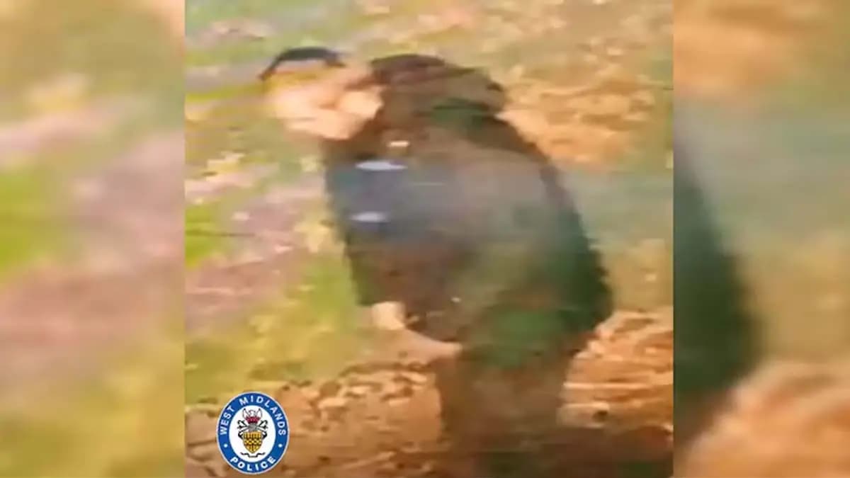 A 20-year-old Indian-origin woman was the victim of a racist attack in Britain