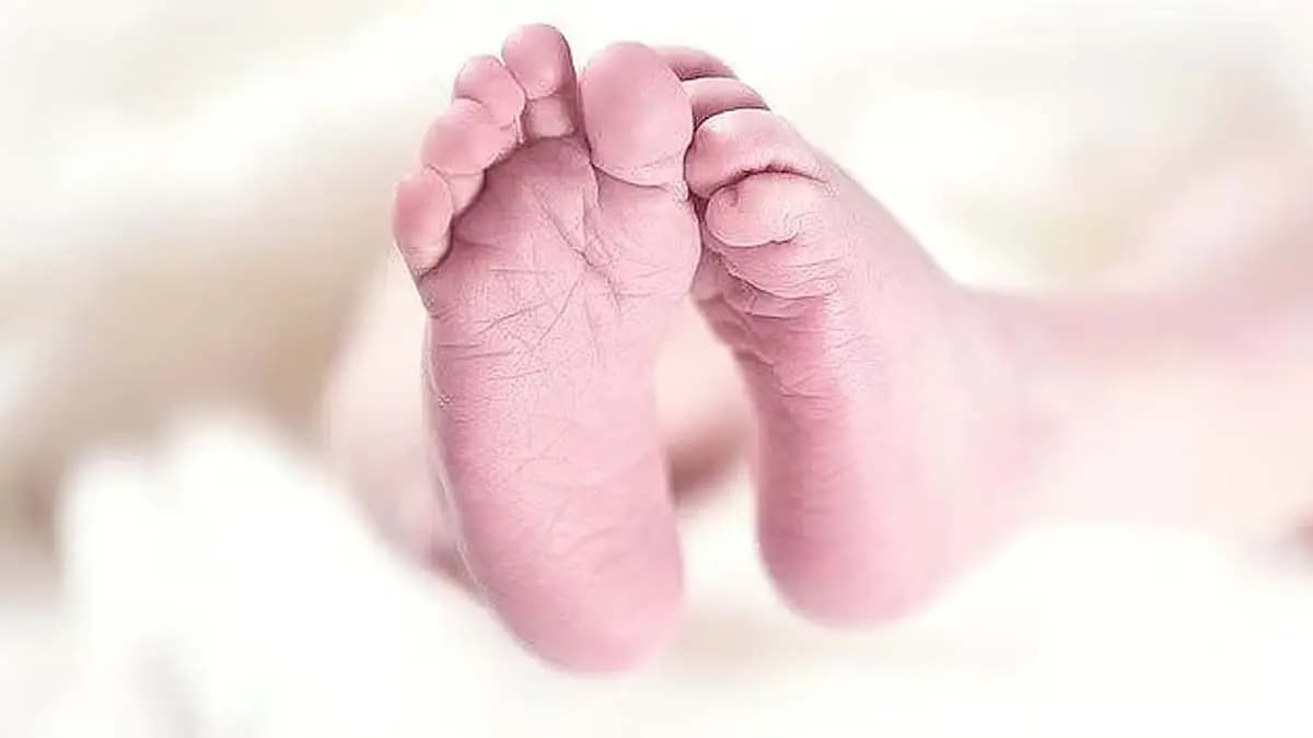 Hazaribag woman gives birth to boy after govt hospital declares her foetus dead 