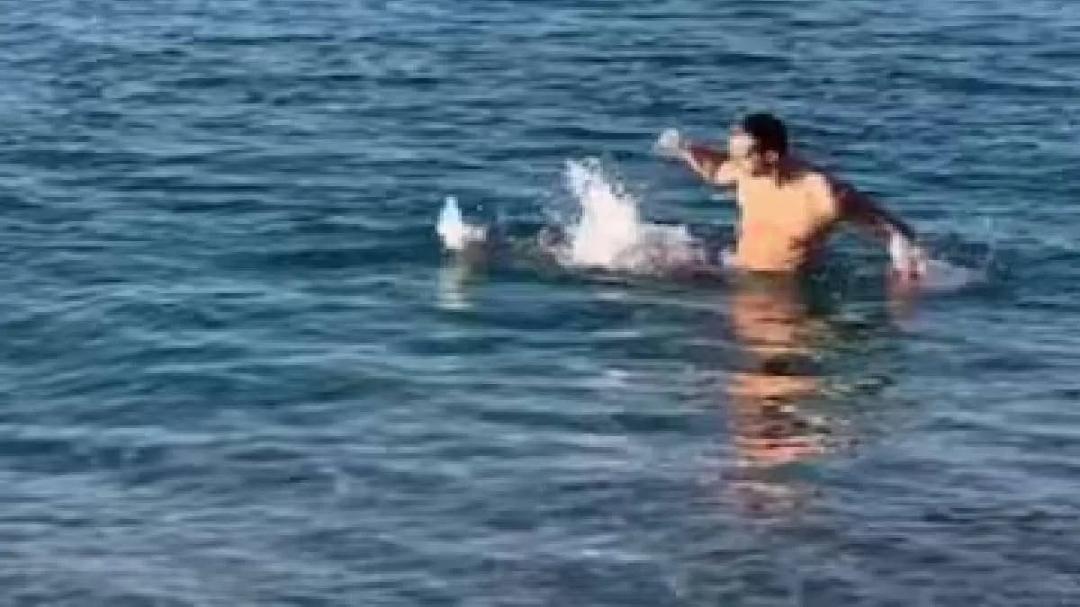 Tourist Went For A Dip In The Sea Then Something Tried To Pull Him Underneath