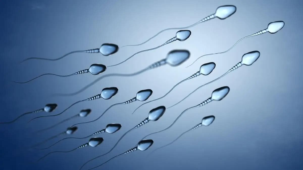 Woman gives birth to a child from another man in IVF mix up