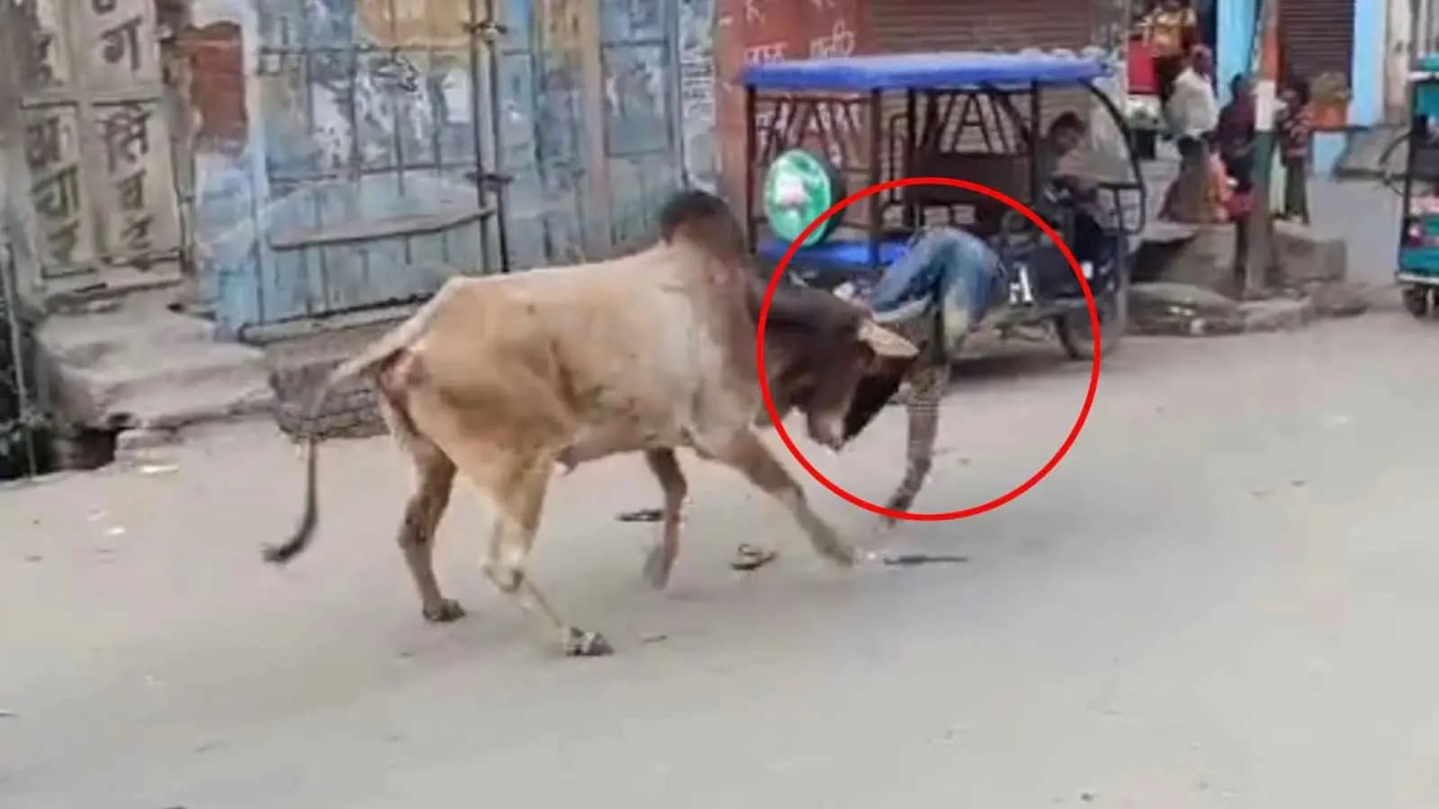 Stray Bull Injures 15 In Uttar Pradesh, Gets Caught After 3 Hour Chase gnr 