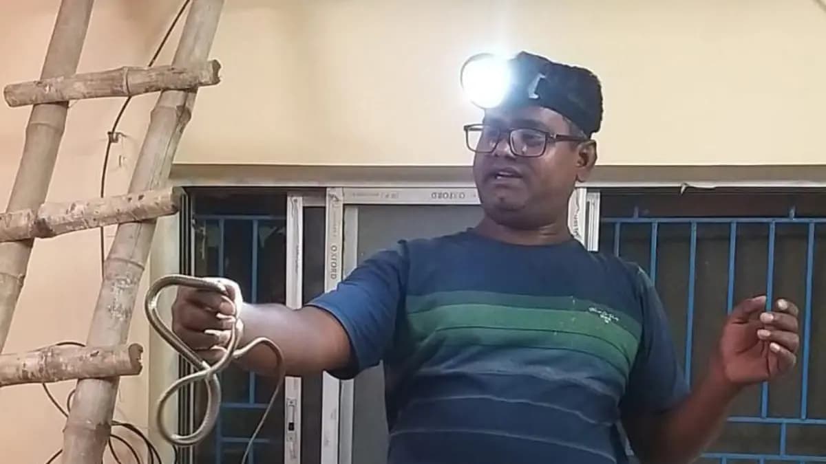 Snakes were found in large numbers inside additional district magistrate bedroom