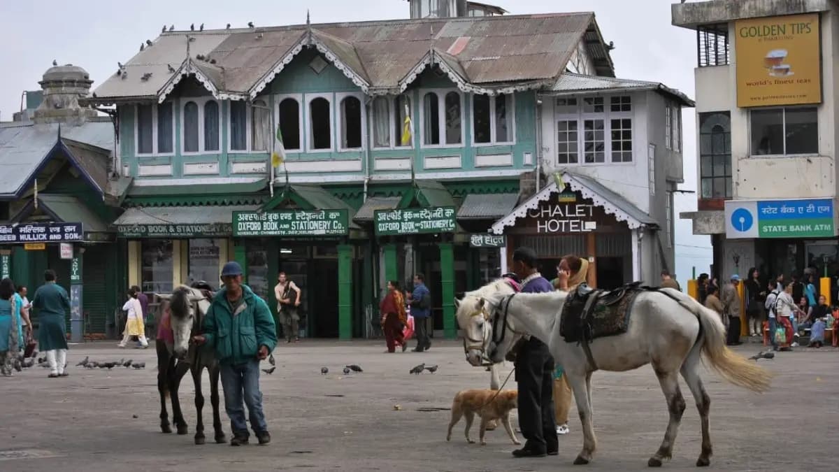 Tourists are rushing to visit Darjeeling after the natural calamity
