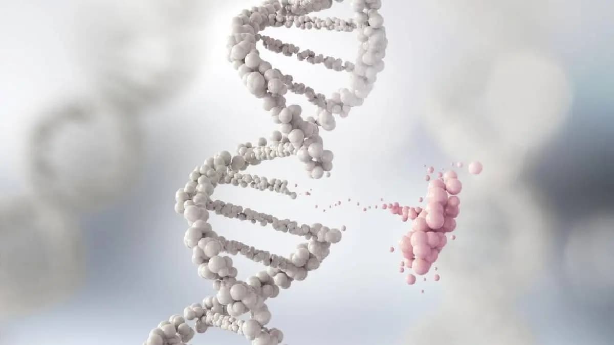 Three People give DNA and create Healthy Babies free of Genetic Disease