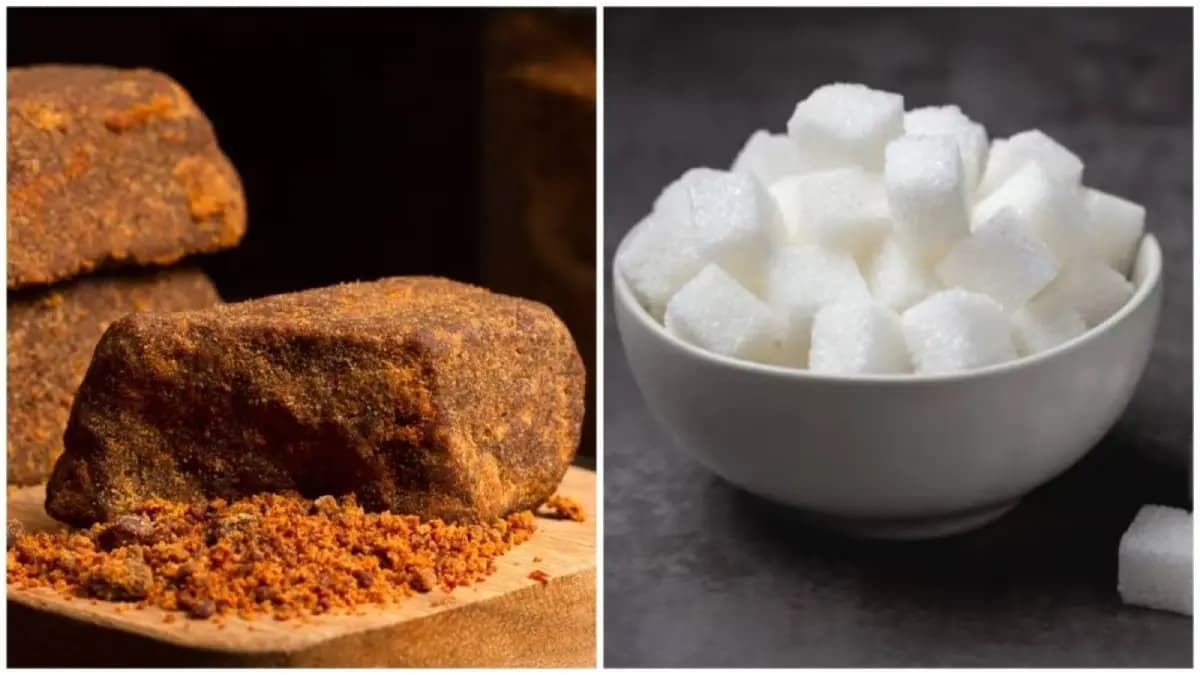 jaggery vs Sugar which one is more healthy