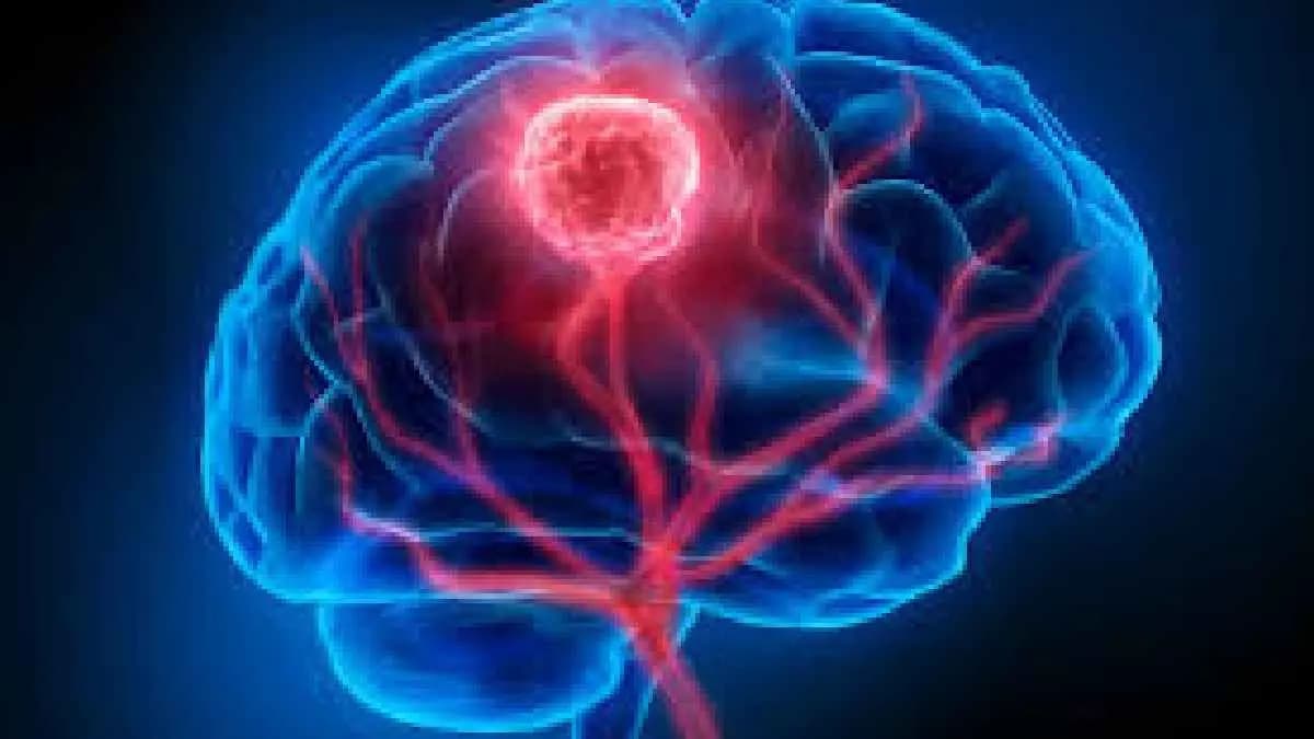 Brain Memory center always making Neurons for Human Health