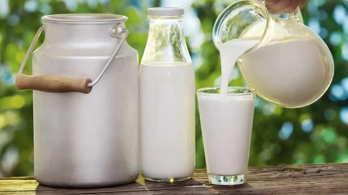 This the only animal in the world whose milk is not white but black 